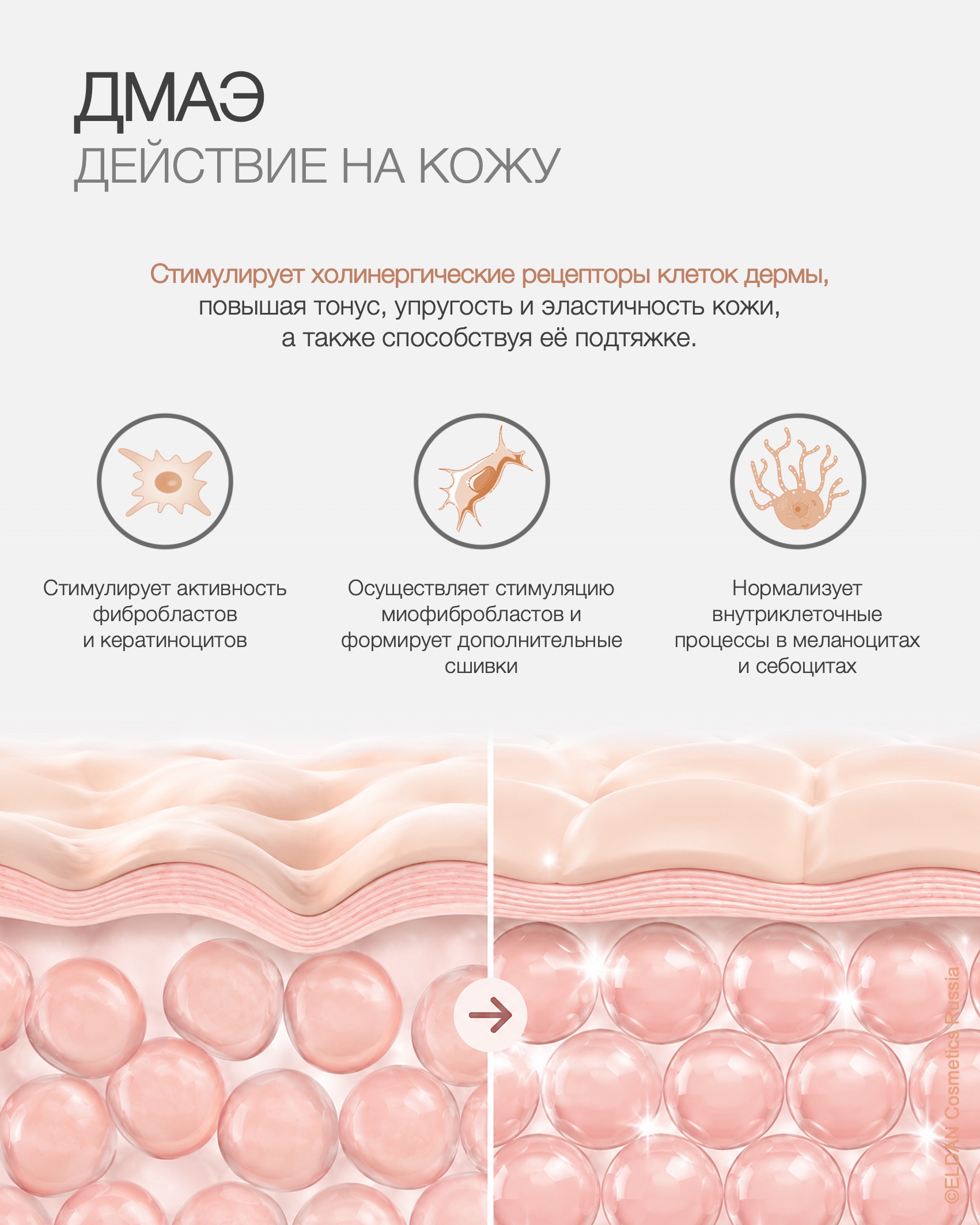 Пост сыворотки 26 3.jpg
